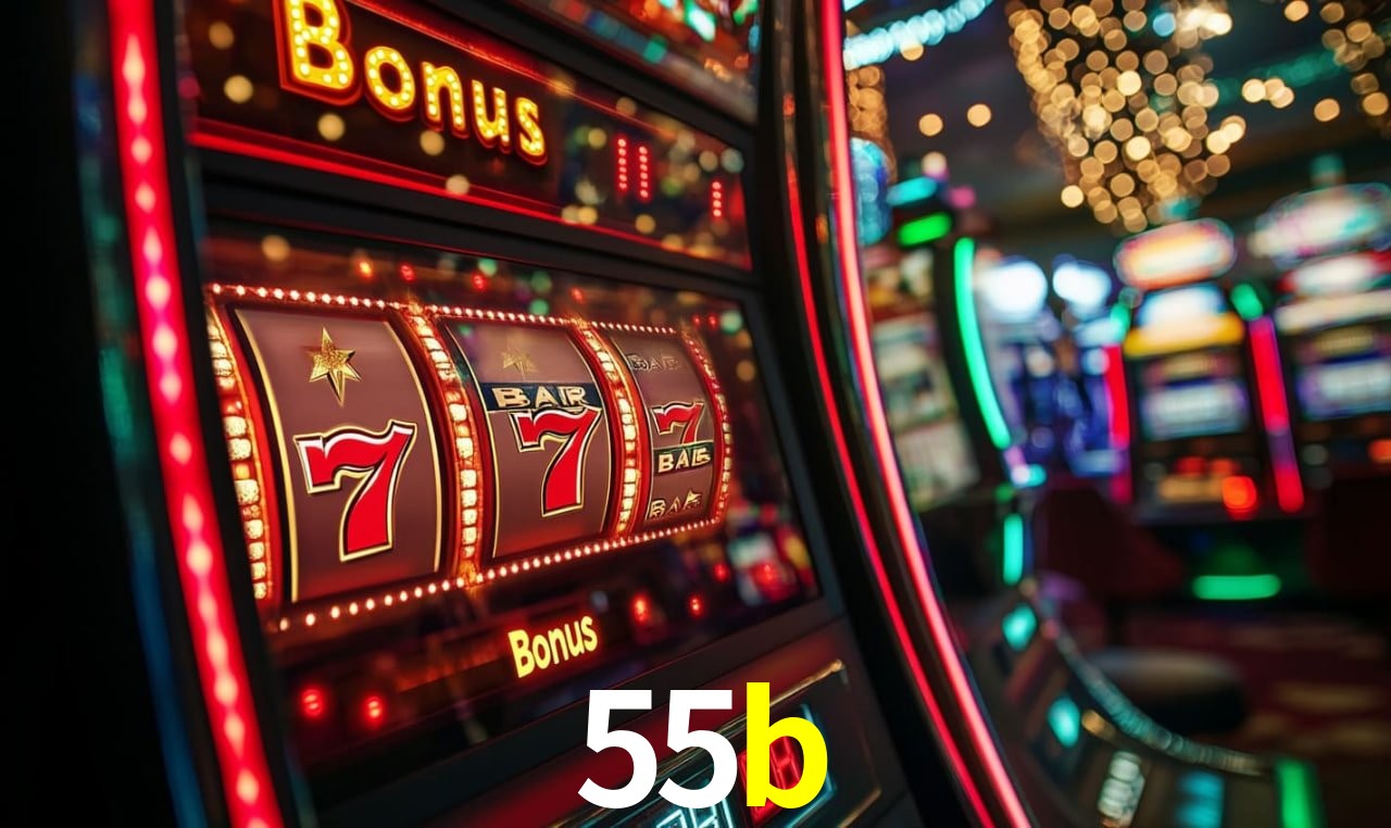 55b.com